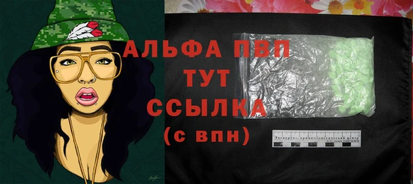 шишки Няндома