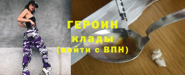 шишки Няндома