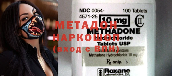 шишки Няндома
