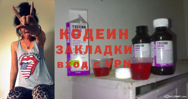шишки Няндома
