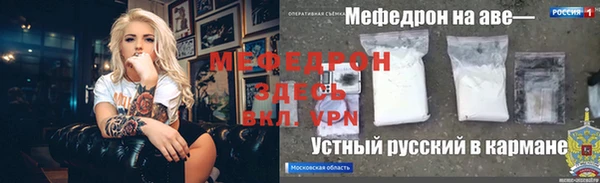 шишки Няндома