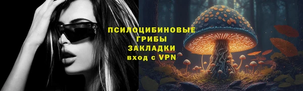шишки Няндома