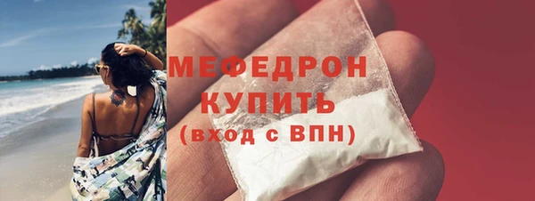 шишки Няндома