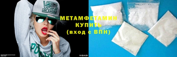 шишки Няндома