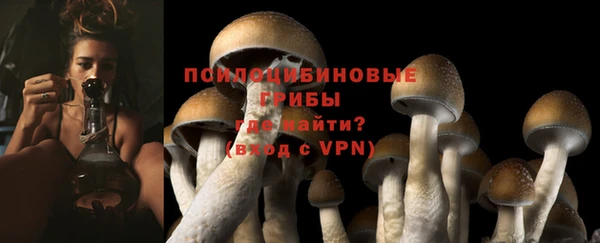 шишки Няндома