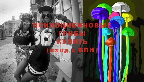 шишки Няндома