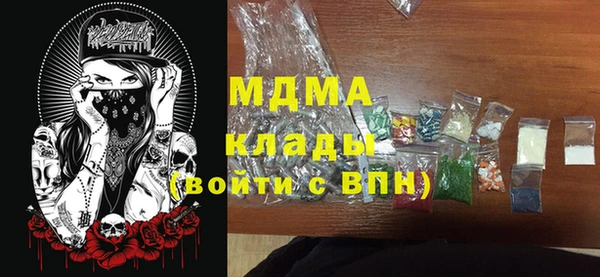 шишки Няндома