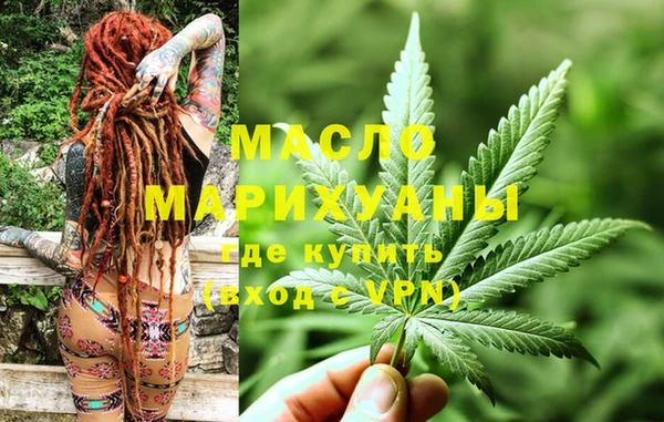 шишки Няндома