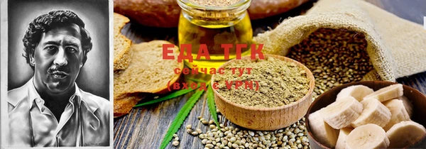 шишки Няндома