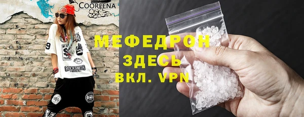 шишки Няндома