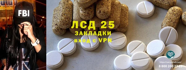 шишки Няндома