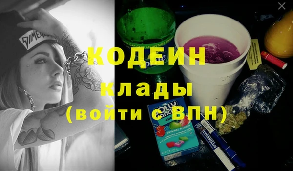 шишки Няндома