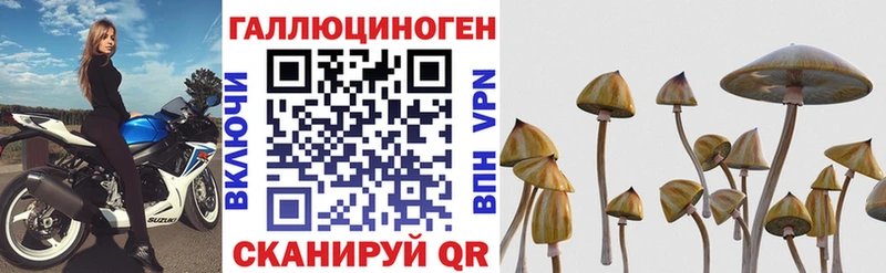 кракен как войти  Омск  это как зайти  Псилоцибиновые грибы ЛСД 